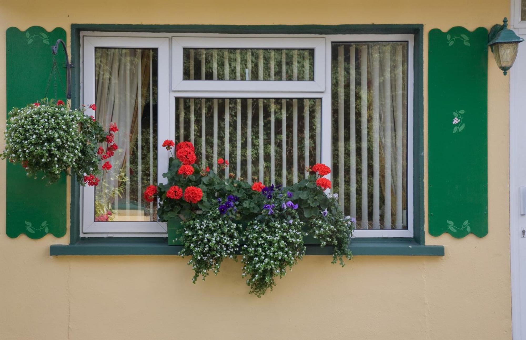 Danabel Hotel Kinsale Exterior photo